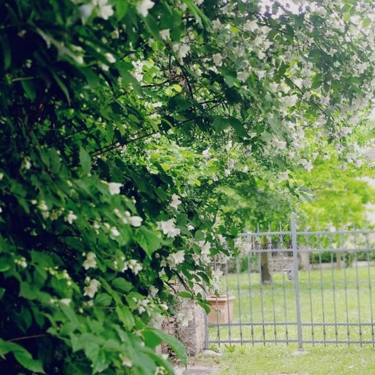 B&B Ernestine Family Home Caneva エクステリア 写真