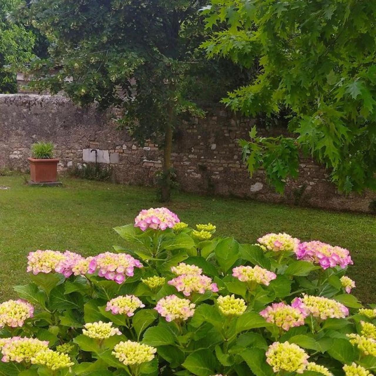 B&B Ernestine Family Home Caneva エクステリア 写真