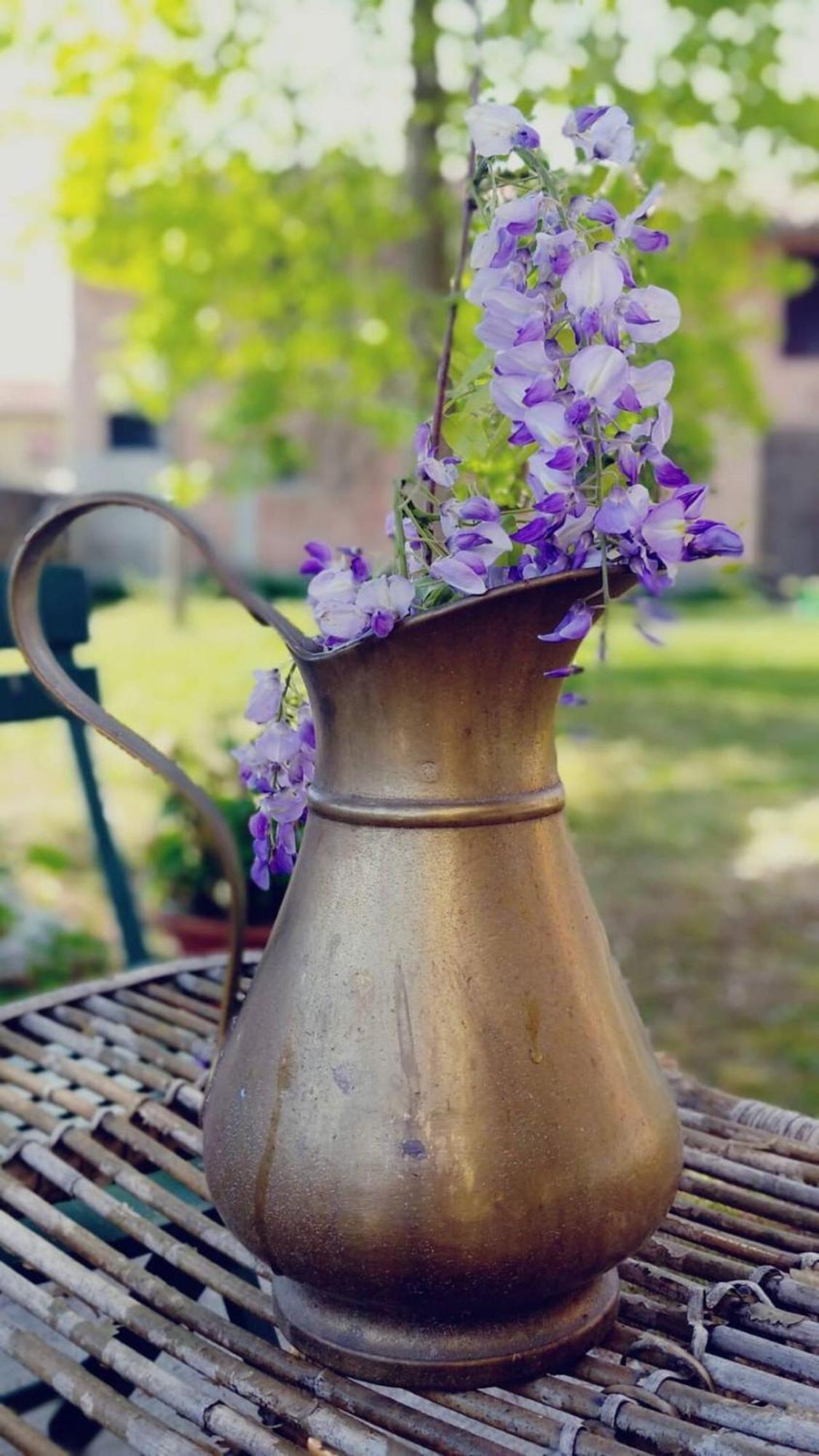 B&B Ernestine Family Home Caneva エクステリア 写真